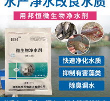 黃頁88高清圖片